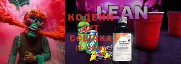 гашик Инта