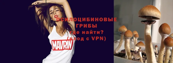 герыч Инсар