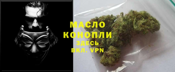 гашик Инта