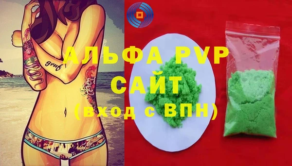 гашик Инта