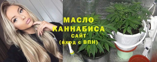 гашик Инта