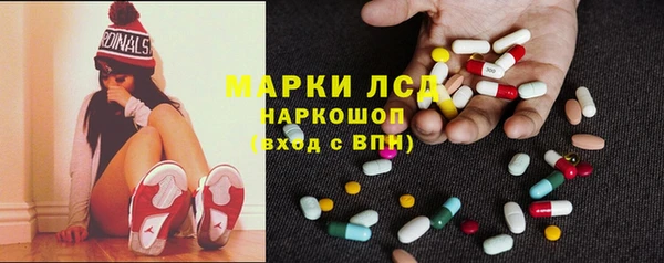 гашик Инта