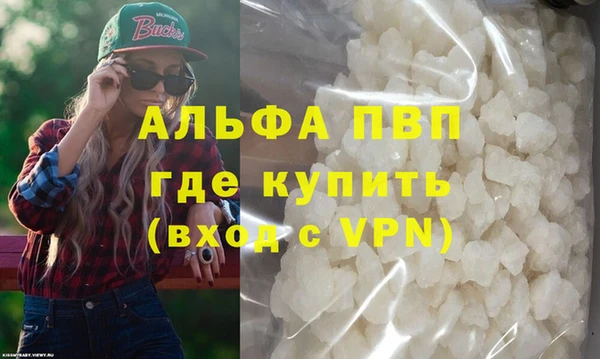 гашик Инта