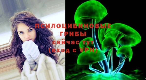 герыч Инсар