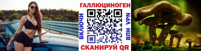 Галлюциногенные грибы Psilocybe  Купить закладки  Приозерск 