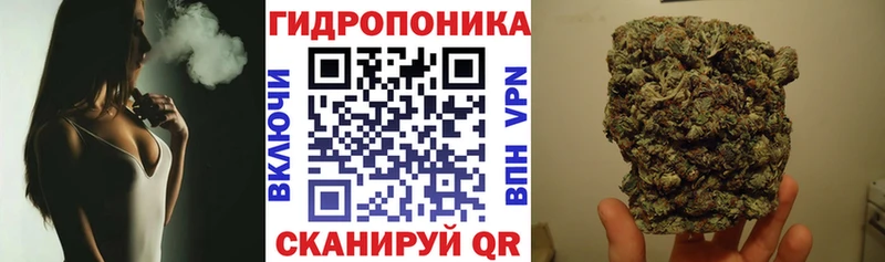 Купить закладки  Приозерск  Конопля Ganja 